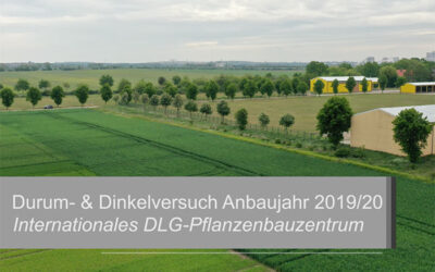 Durum- und Dinkelversuch 2019/20 – die Ergebnisse